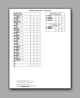 Daily
                      Schedule