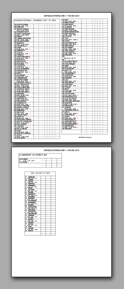 Daily
                      Schedule